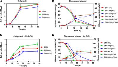 Molecular mechanism of enhanced ethanol tolerance associated with hfq overexpression in Zymomonas mobilis